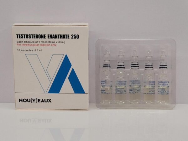 Testosterone Enanthate – 10 amps (250 mg/1ml) – Nouveaux – exp. 2037