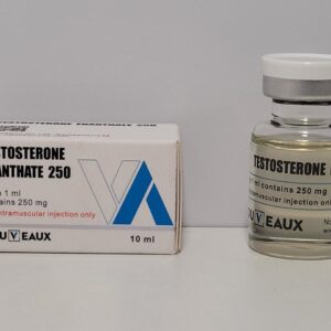 Testosterone Enanthate – 250 mg/ml/ 10 ml – Nouveaux – exp. 2038